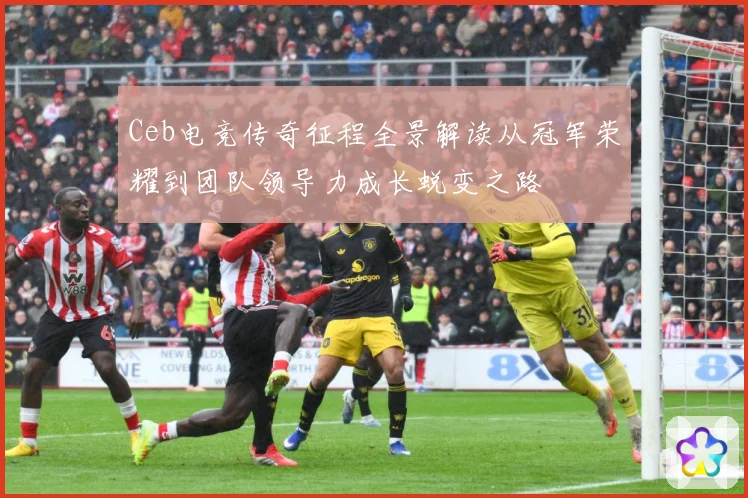 Ceb电竞传奇征程全景解读从冠军荣耀到团队领导力成长蜕变之路