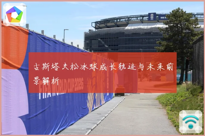 古斯塔夫松冰球成长轨迹与未来前景解析